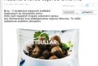 Recept Smažené masové kuličky Köttbullar – IKEA se smetanovou omáčkou - masové kuličky Köttbullar IKEA - tisková zpráva